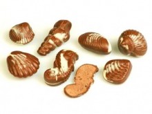 belgické pralinky, mořské plody v mléčné čokoládě